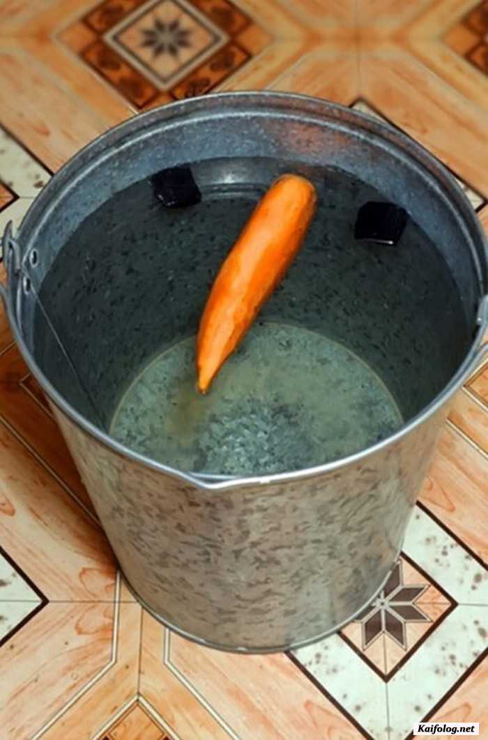 фотоприкол