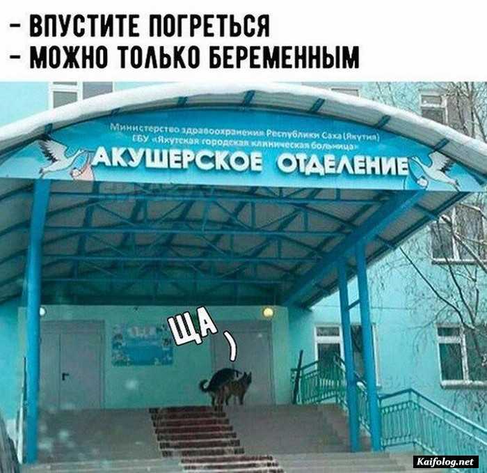 фотоприкол