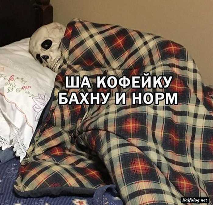 фотоприкол