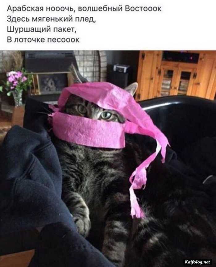 фотоприкол