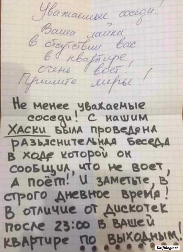 фотоприкол