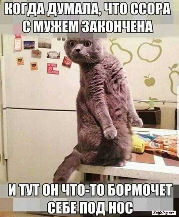 фотоприкол