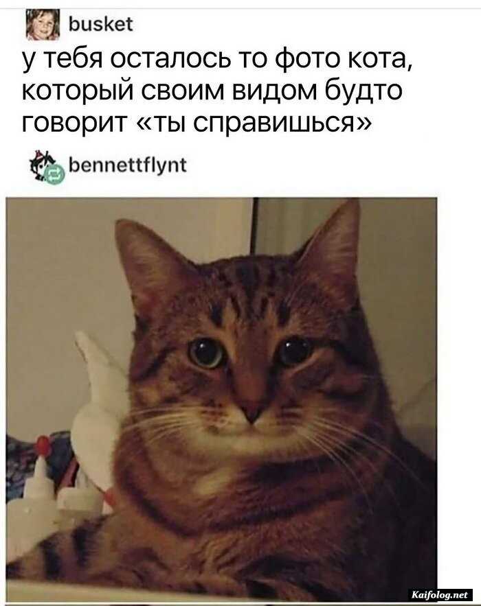 прикольная картинка