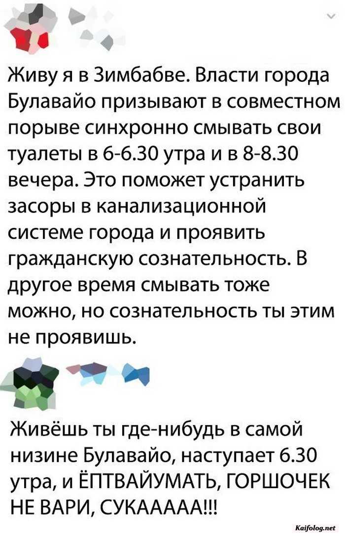 прикольная картинка