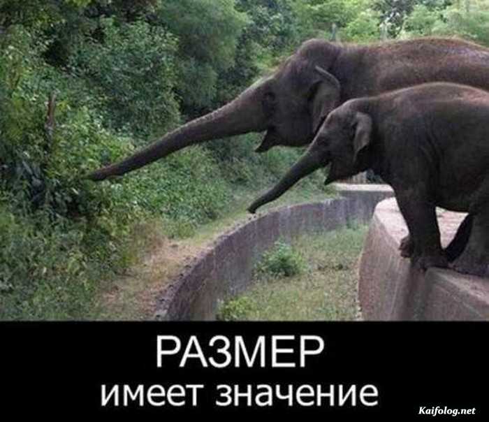 фото прикол