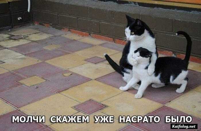 фото прикол