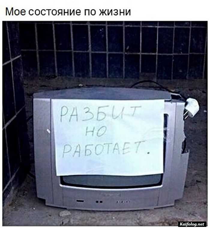 фото прикол