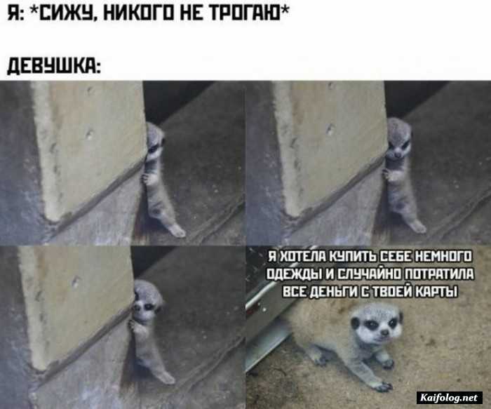 фото прикол