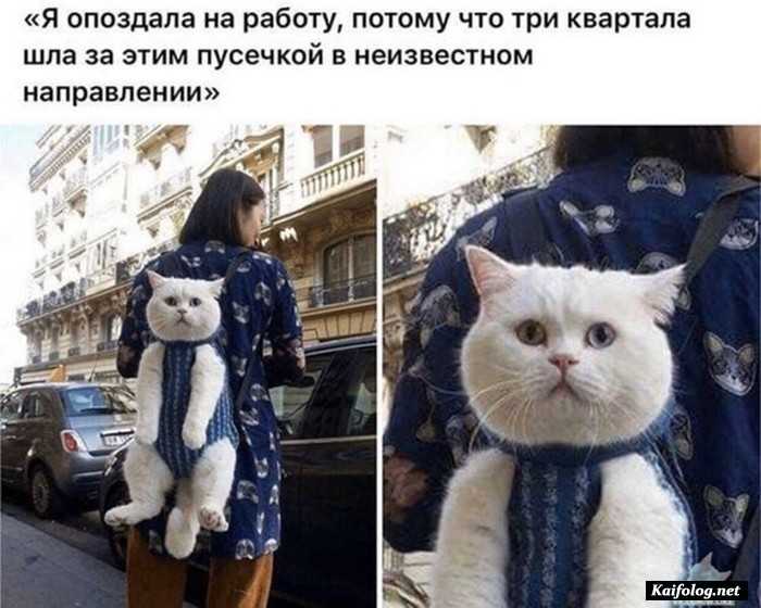 фото прикол