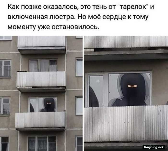 фото прикол