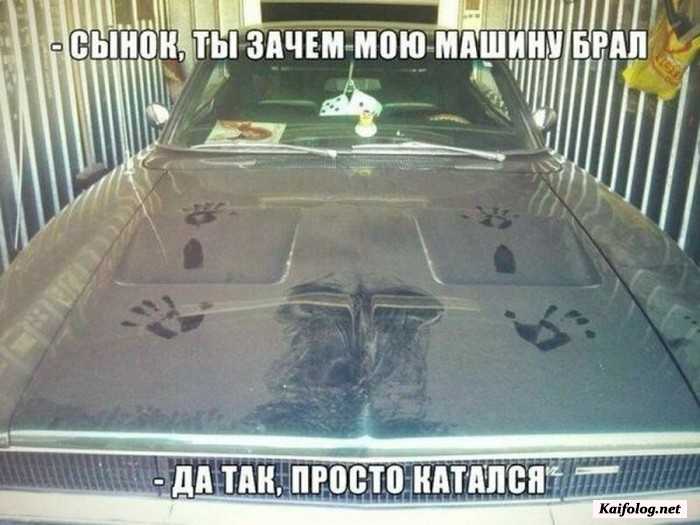 прикольная картинка