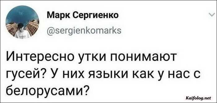 прикольная картинка