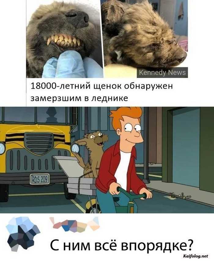 прикольная картинка