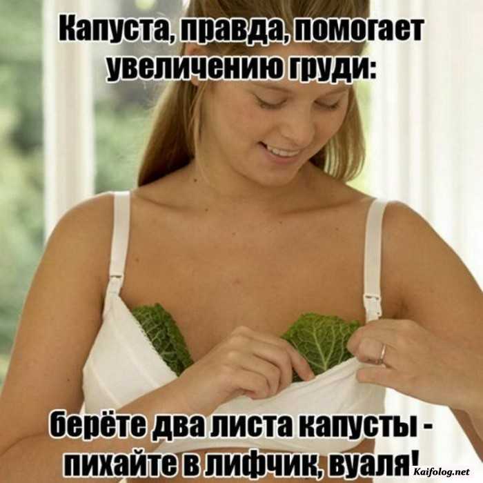 прикольная картинка