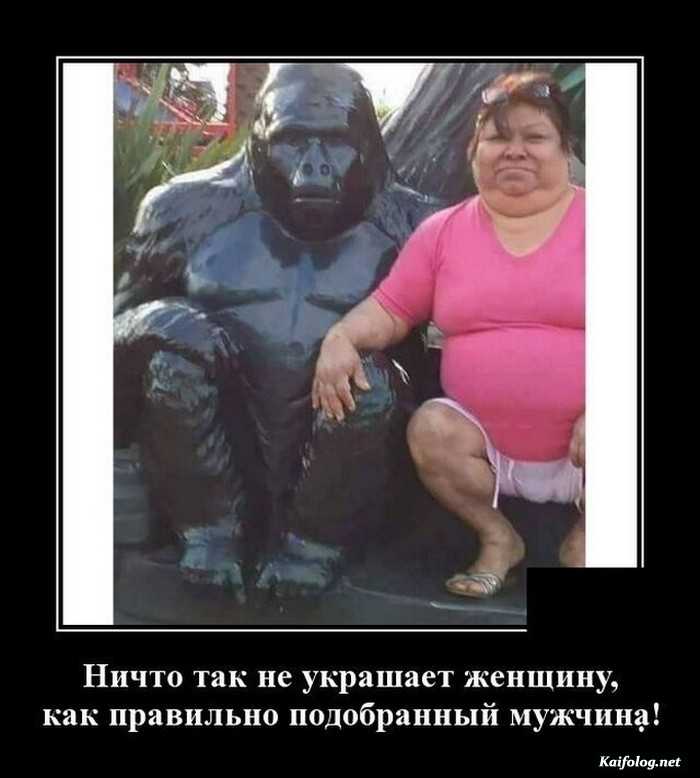 смешной демотиватор