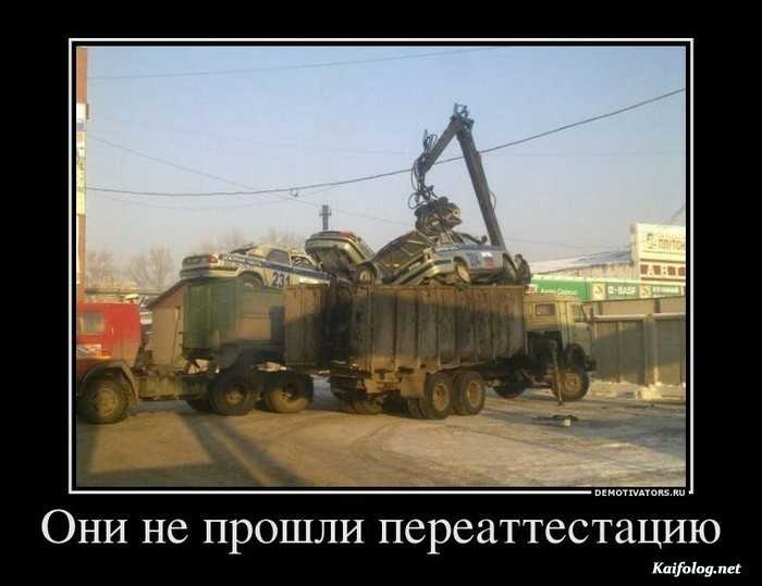 смешной демотиватор