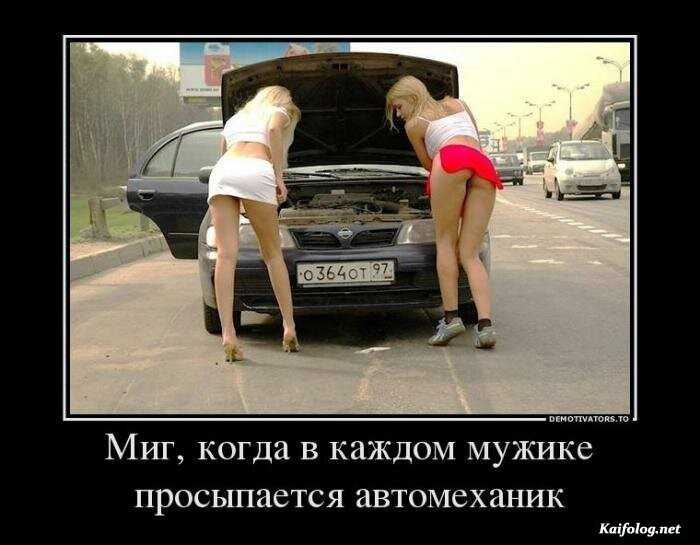 смешной демотиватор