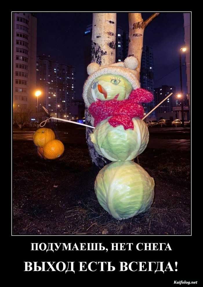 смешной демотиватор