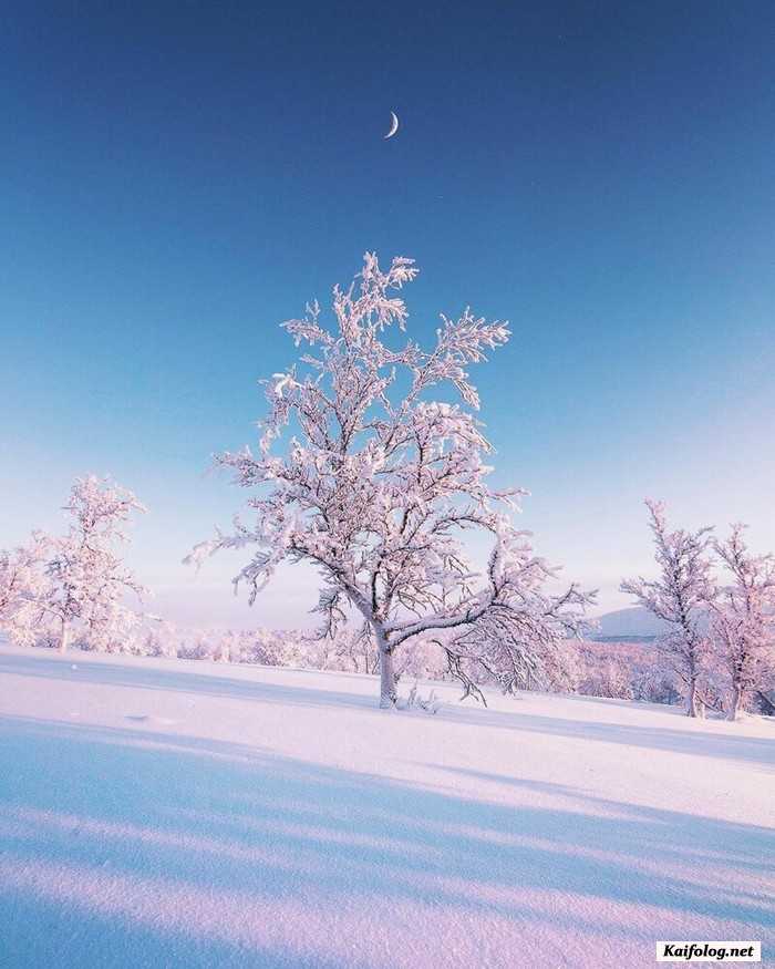 фото красивый зимний пейзаж