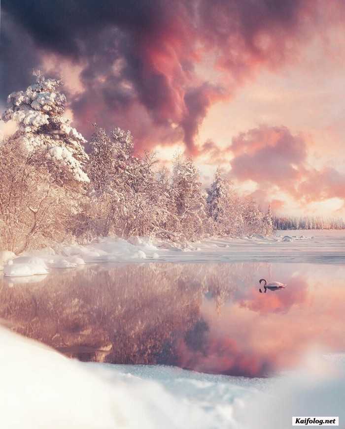 фото красивый зимний пейзаж