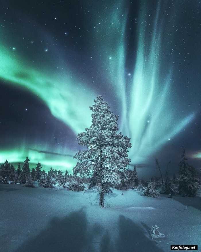 фото красивый зимний пейзаж