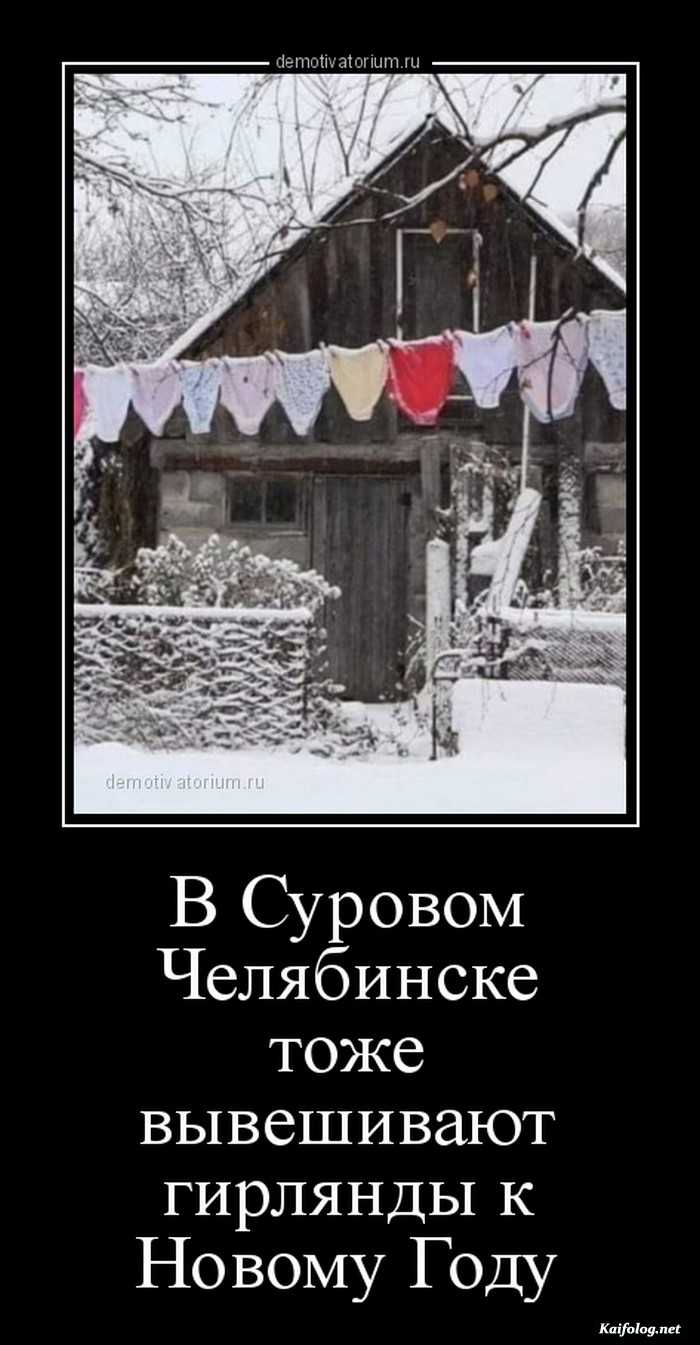 веселый демотиватор