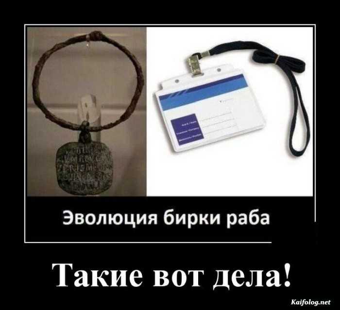 веселый демотиватор