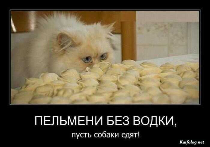 веселый демотиватор