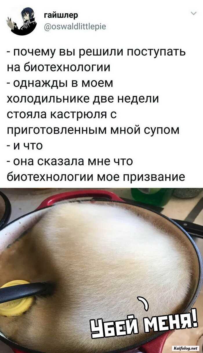 смешная картинка с надписью