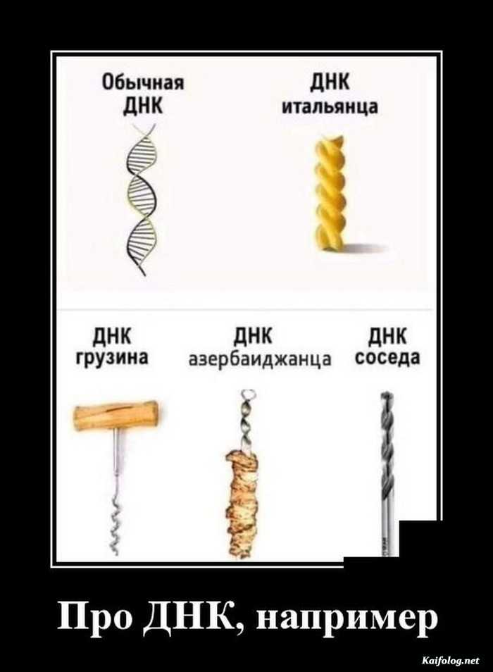 прикольный демотиватор