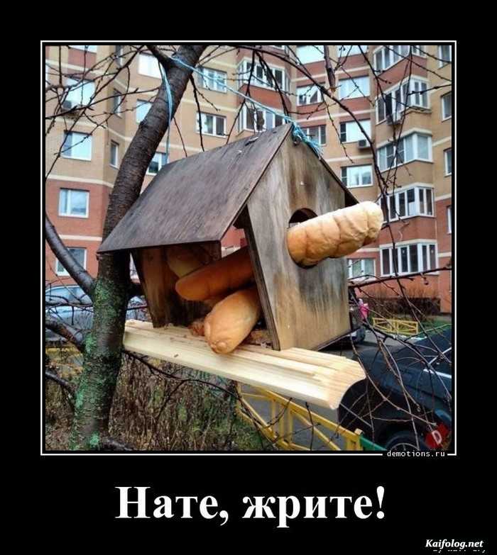 прикольный демотиватор