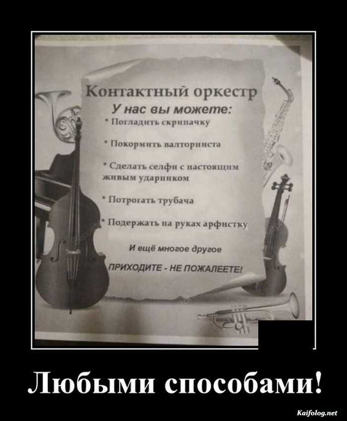 прикольный демотиватор