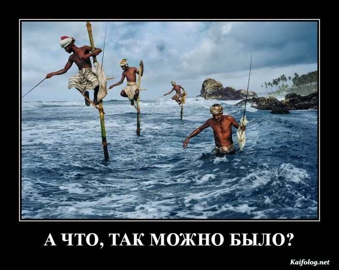 прикольный демотиватор