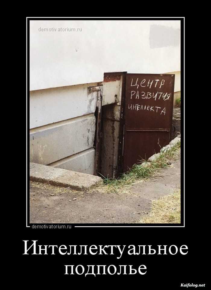 смешная картинка демотиватор