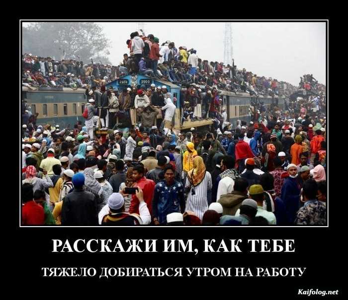 смешная картинка демотиватор