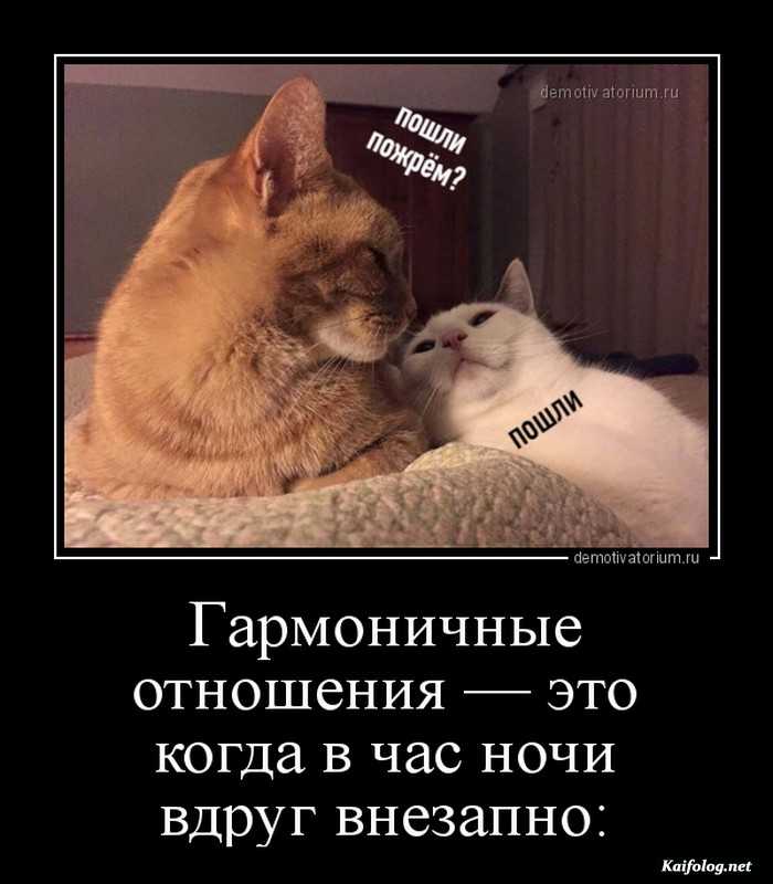 смешная картинка демотиватор