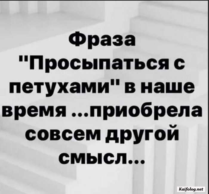 смешная картинка с надписью