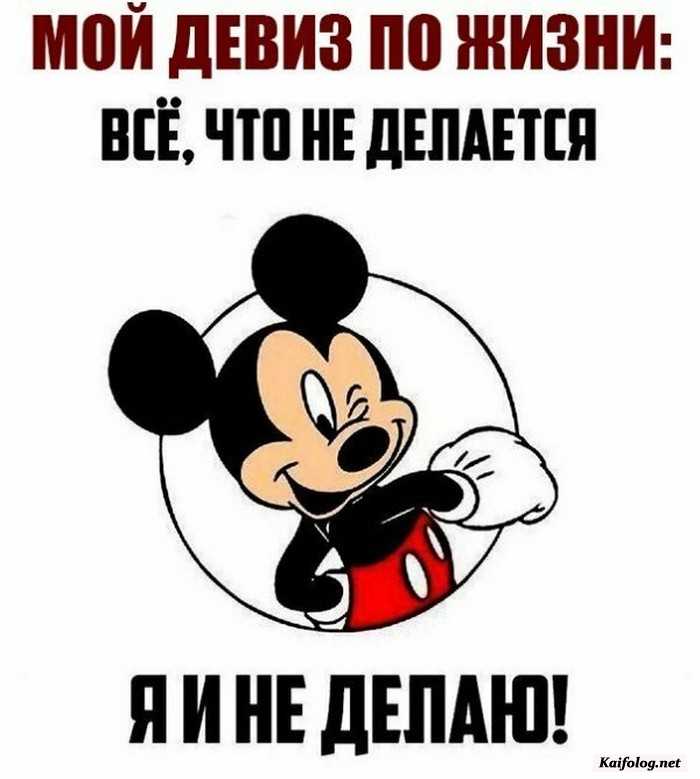смешная картинка с надписью