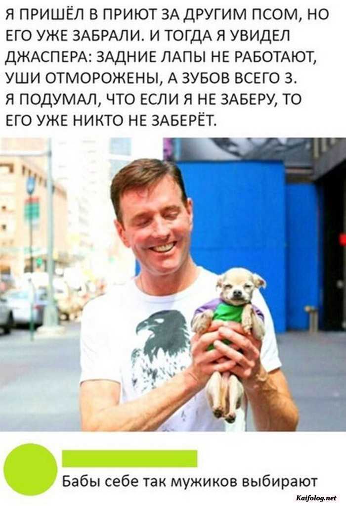 смешная картинка с надписью