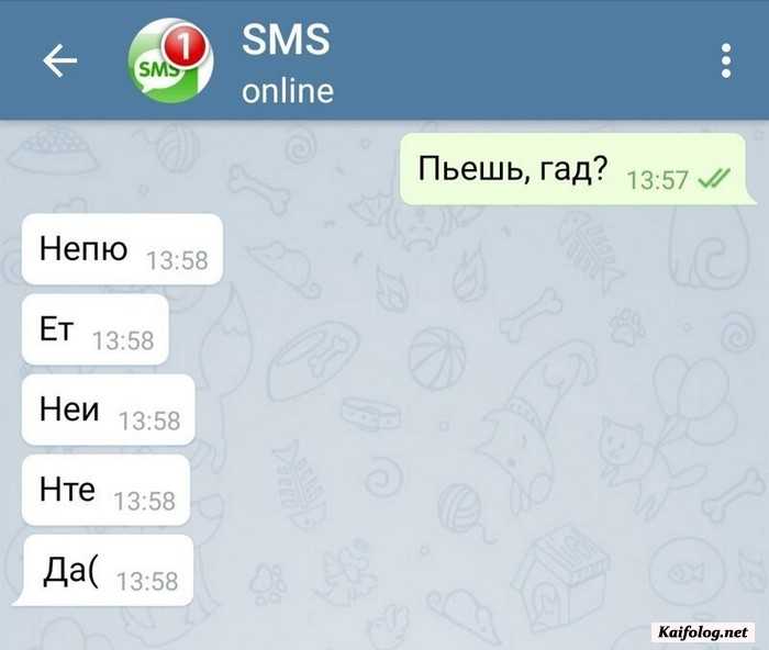 смешная смс картинка