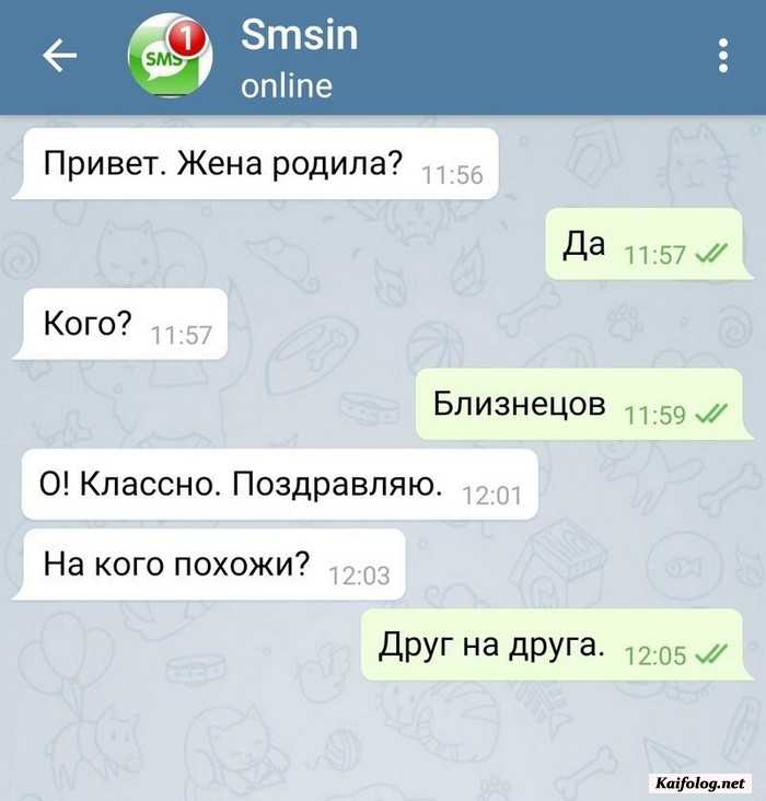 смешная смс картинка