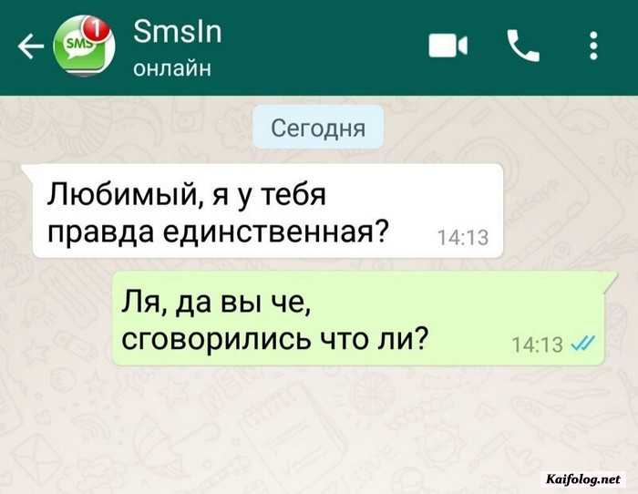 смешная смс картинка