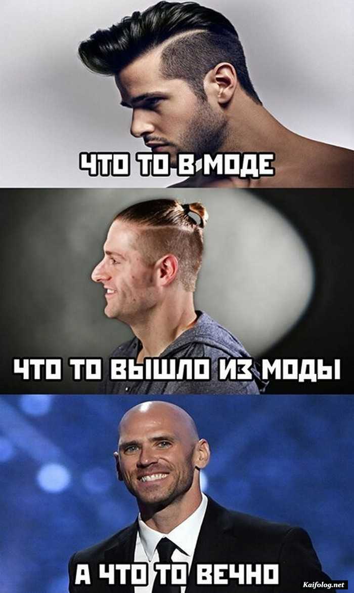 Стрижка смешные картинки