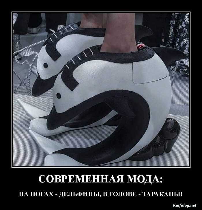 картинка демотиватор