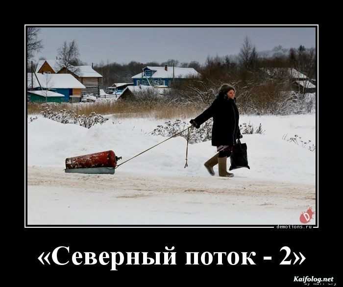 картинка демотиватор