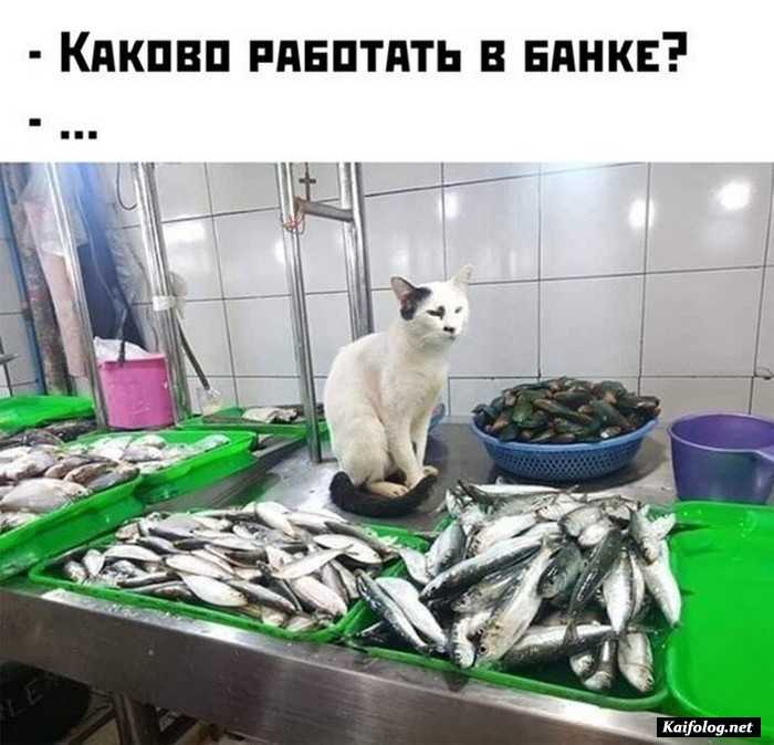 фото с приколом