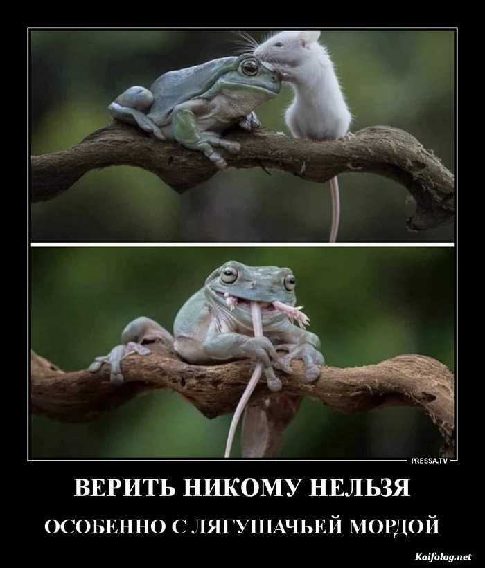 картинка с надписью демотиватор