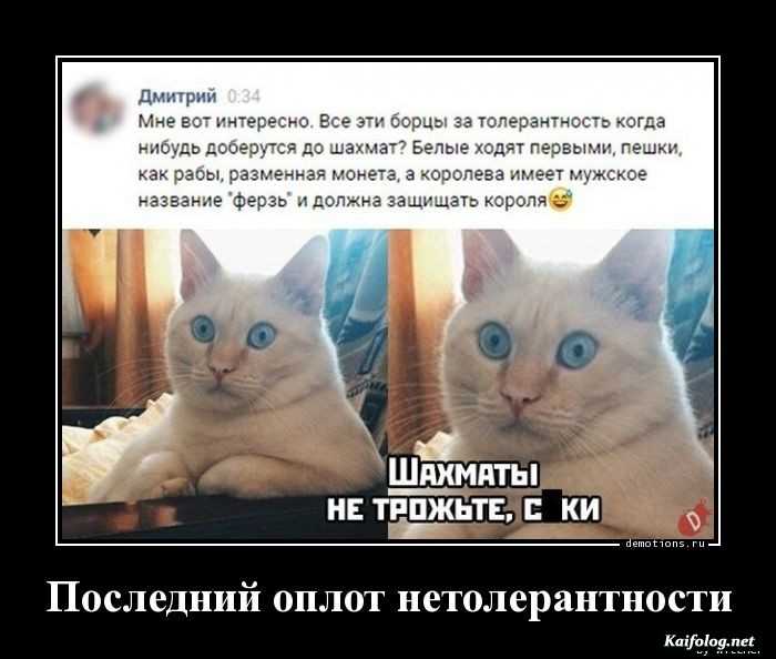 картинка с надписью демотиватор