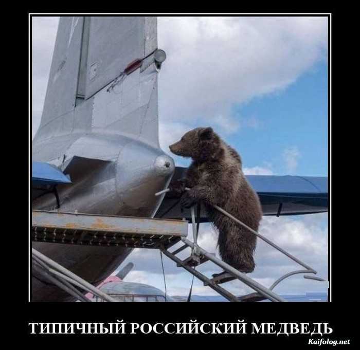 картинка с надписью демотиватор