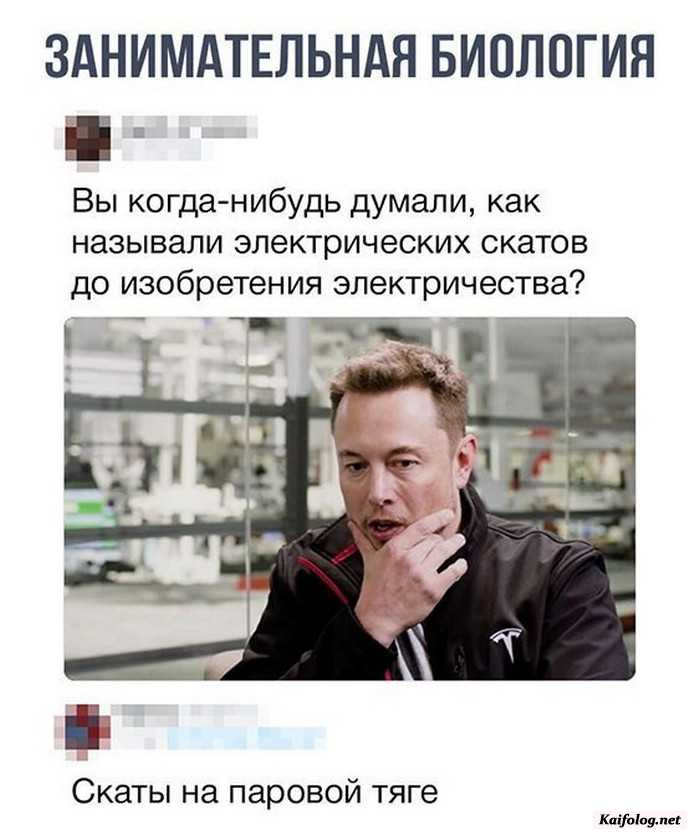 картинка прикол